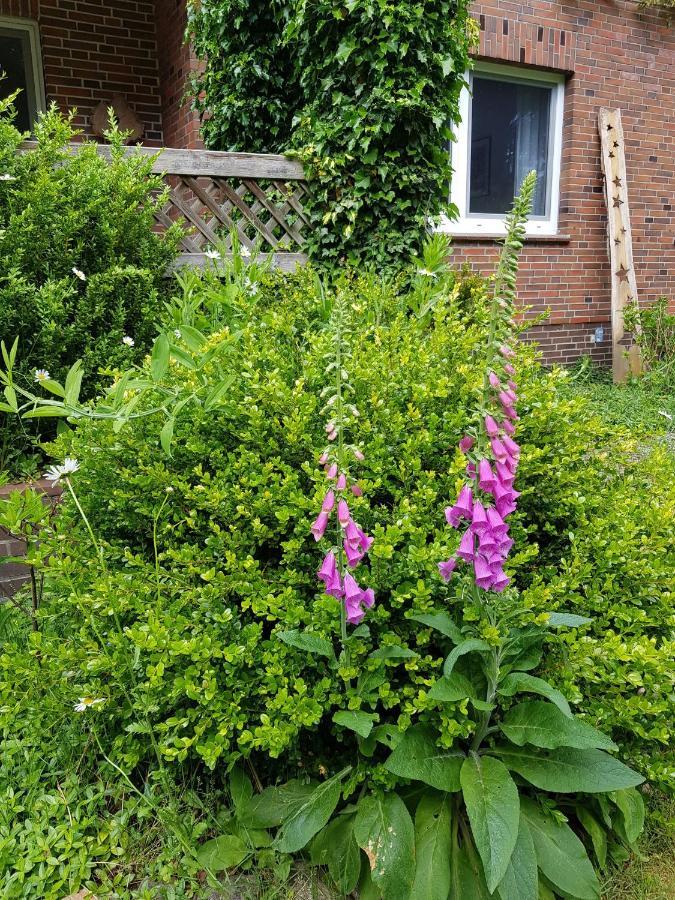 Ferienwohnung im Naturgarten Schneverdingen Exterior foto